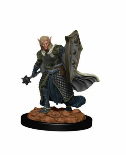 Elf Male Cleric WZK93008