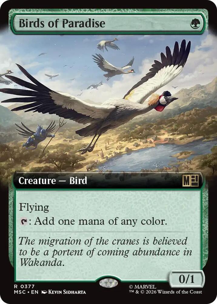 Birds of Paradise