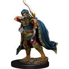 Elf Male Rogue Premium WZK93048