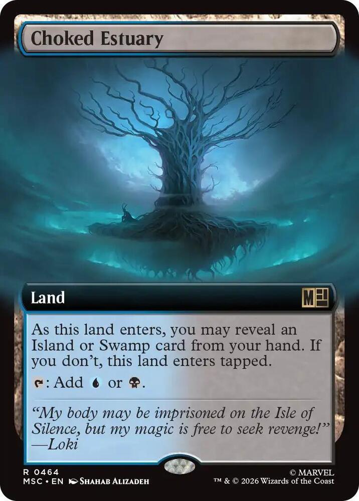 Choked Estuary