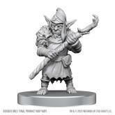 Bugbear & Goblin Hexer