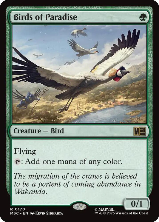 Birds of Paradise