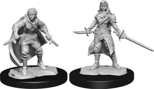 Half-Elf Female Rogue WZK90228