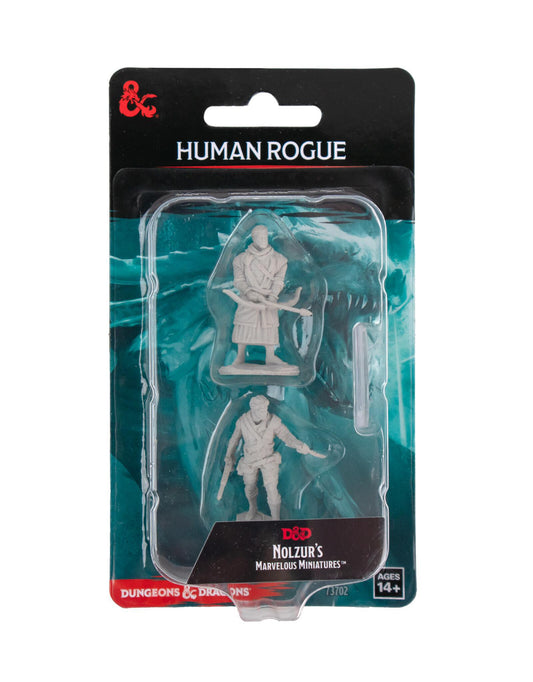 Human Male Rogue WZK73702