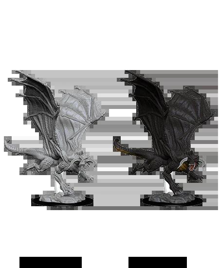 Young Black Dragon WZK73682