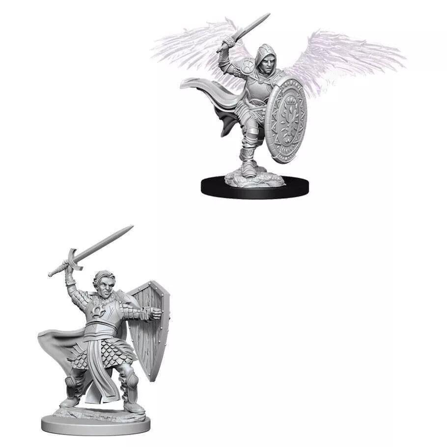 Aasimar Male Paladin WZK73342