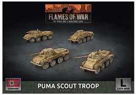 Puma Scout Troop