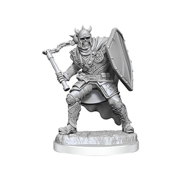 D&D Nolzur's Marvelous Miniatures Wave 20