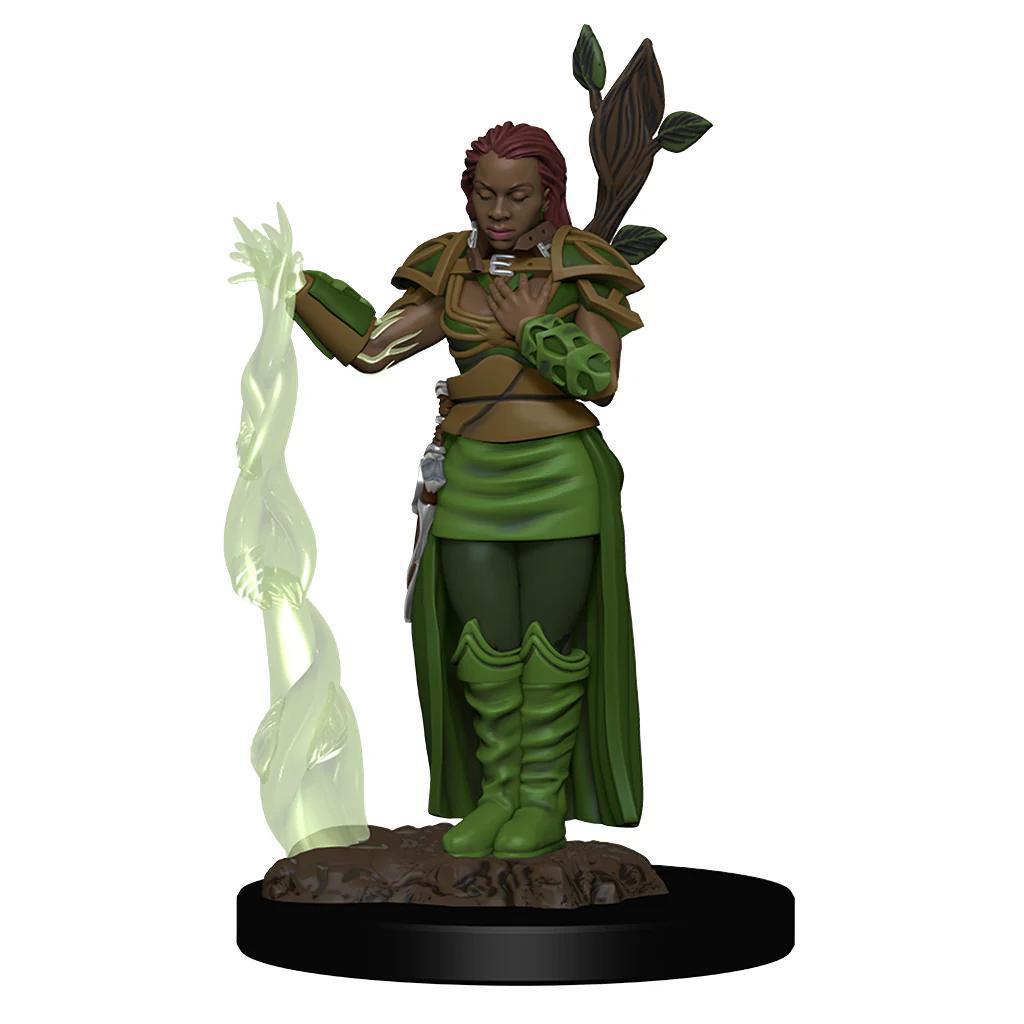 Human Female Druid WZK93009