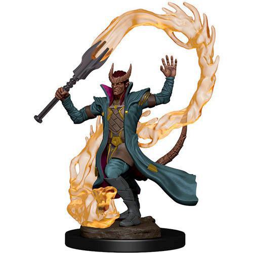 Tiefling Male Sorcerer WZK93002