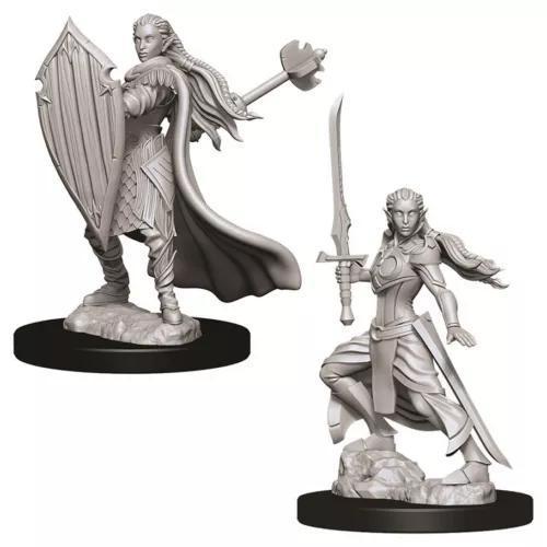 Elf Female Paladin WZK73706