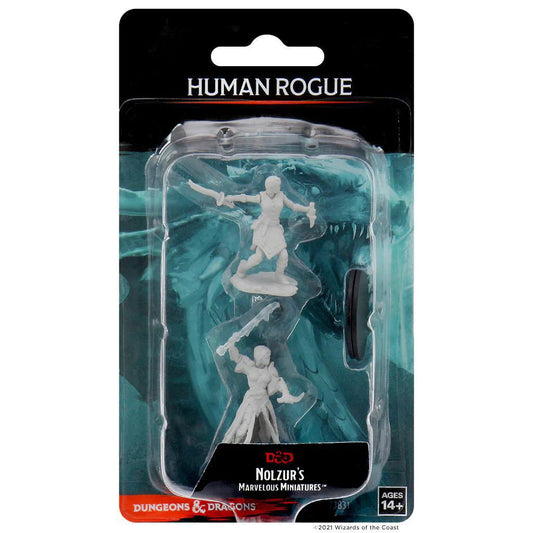 Human Female Rogue WZK73831