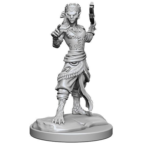 D&D Nolzur's Marvelous Miniatures Wave 20
