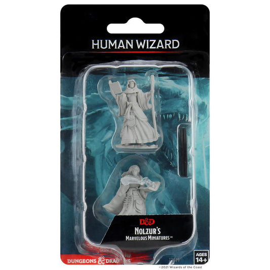 Human Female Wizard WZK72619