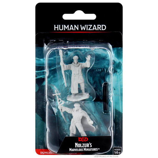 Human Male Wizard WZK90137