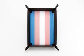 Pride Velvet Dice Folding Tray