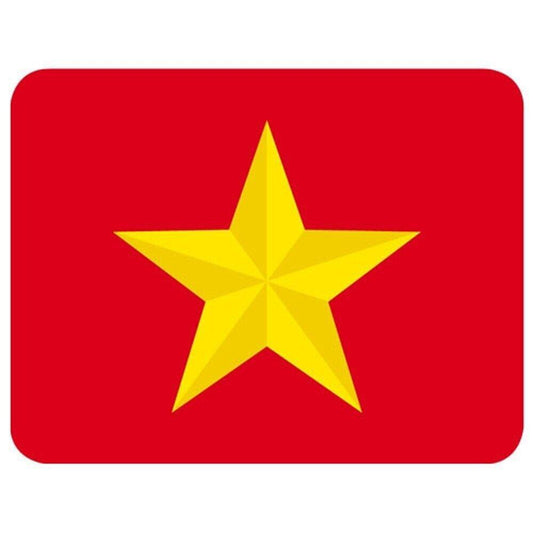 Vietnam PAVN Objective Set