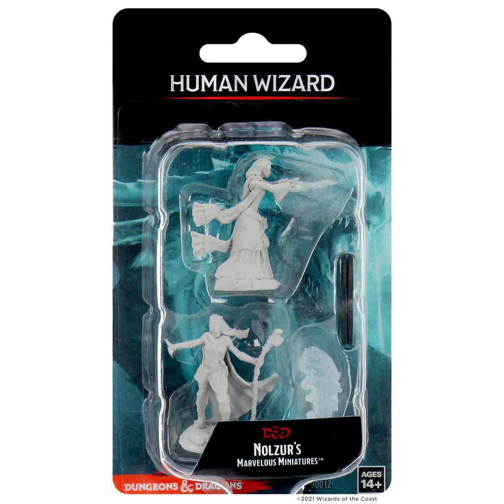 Human Female Wizard WZK90012