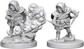 Halfling Male Rogue WZK72626