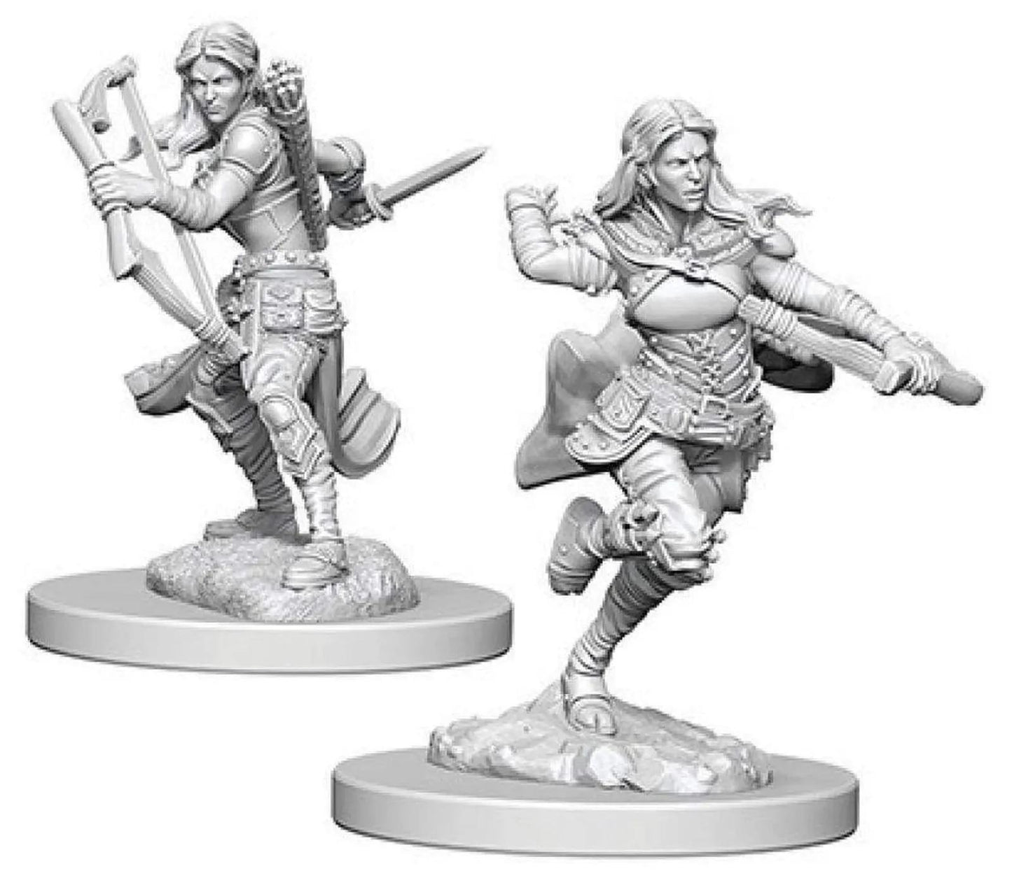 Air Genasi Female Rogue WZK73204