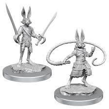 D&D Nolzur's Marvelous Miniatures Wave 17