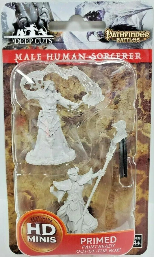 Human Male Sorcerer WZK90052