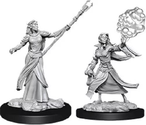 Elf Female Sorcerer WZK90054