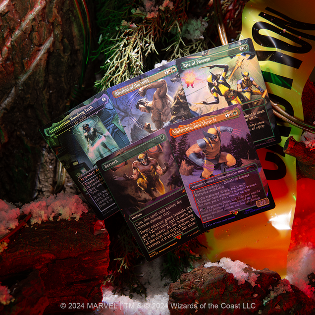Magic: the Gathering Secret Lairs 2024