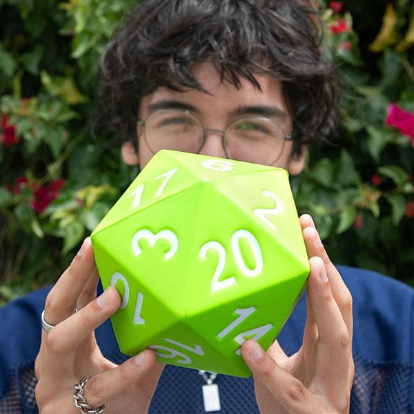 Giant Foam Dice D20 Assortment- Periwinkle/Purple/Green/Pink