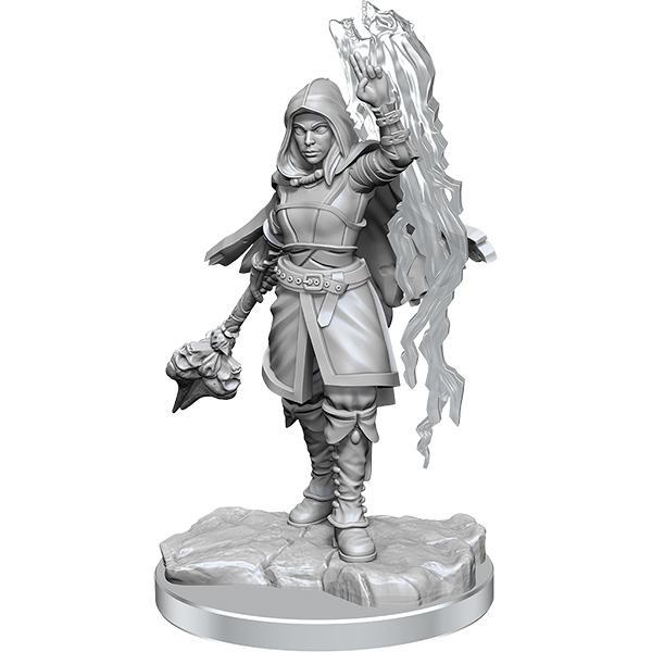 D&D Nolzur's Marvelous Miniatures Wave 20