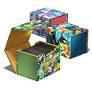 Sidewinder Floral Places Deck Box