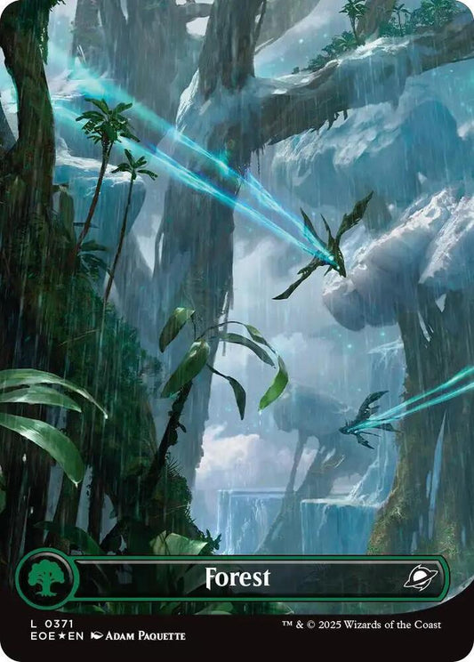 Forest