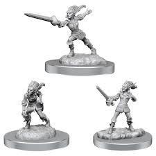 D&D Nolzur's Marvelous Miniatures Wave 19