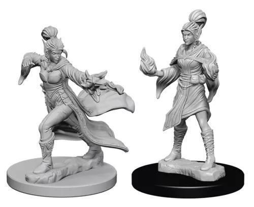 Elf Female Sorcerer WZK72606