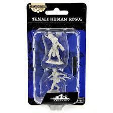 Human Female Rogue WZK90269