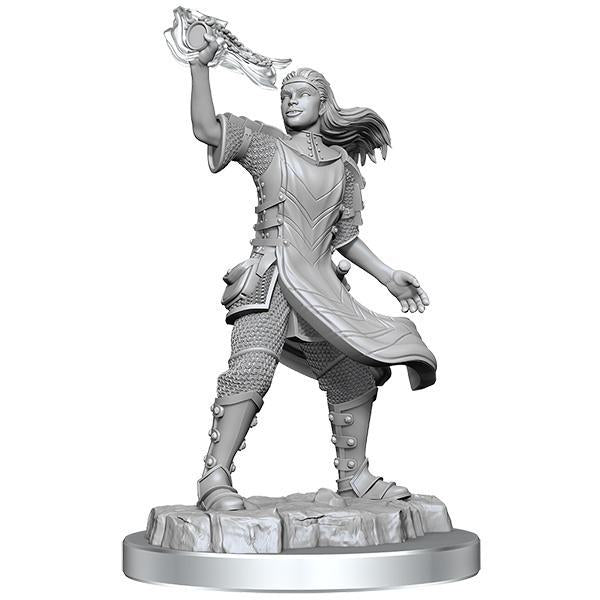 D&D Nolzur's Marvelous Miniatures Wave 20