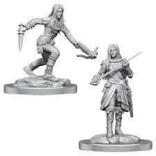 D&D Nolzur's Marvelous Miniatures Wave 17