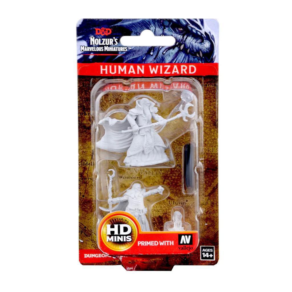 Human Male Wizard WZK72618