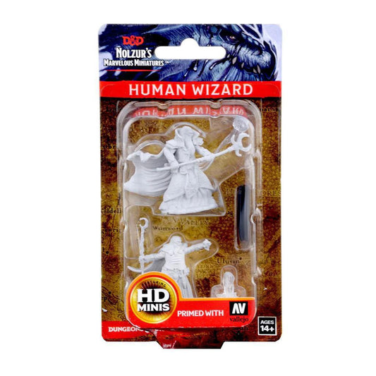 Human Male Wizard WZK72618