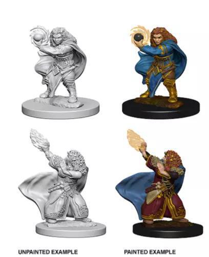 Dwarf Female Wizard WZK72621