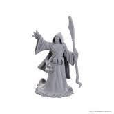 D&D Nolzur's Marvelous Miniatures Wave 25