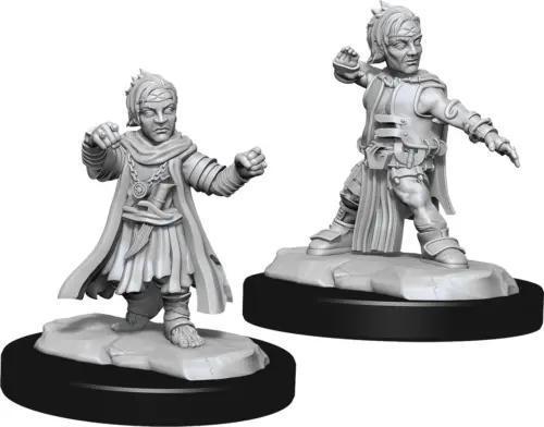 Halfling Male Monk - WZK90328