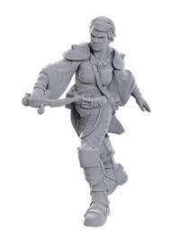 D&D Nolzur's Marvelous Miniatures Wave 25