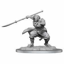 D&D Nolzur's Marvelous Miniatures Wave 17