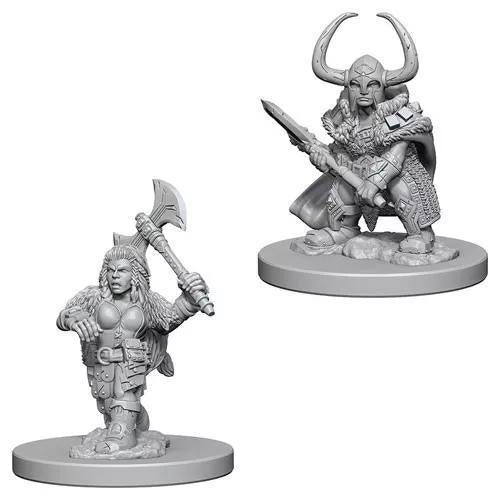 Dwarf Female Barbarian WZK72645