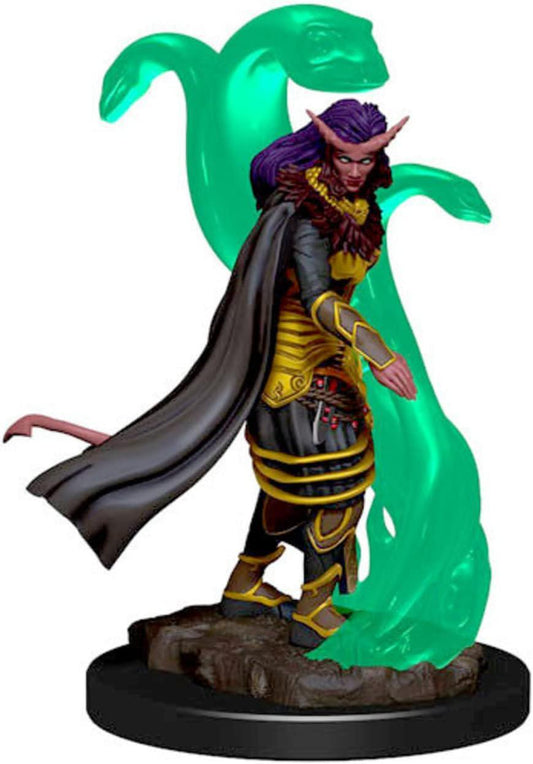 Tiefling Female SorcererWZK7381