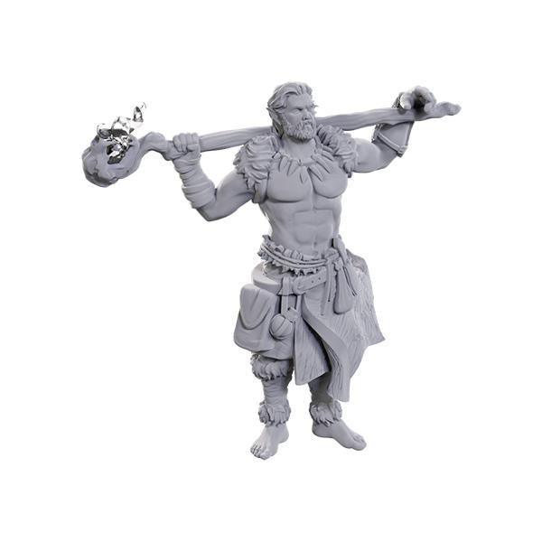 D&D Nolzur's Marvelous Miniatures Wave 24