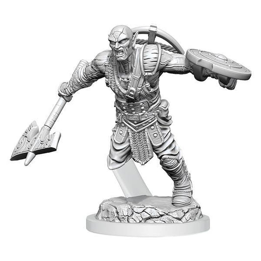 D&D Nolzur's Marvelous Miniatures Wave 20