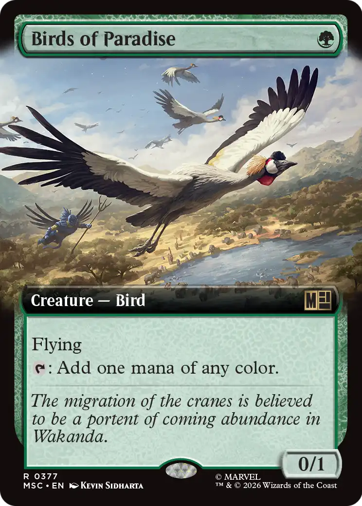 Birds of Paradise